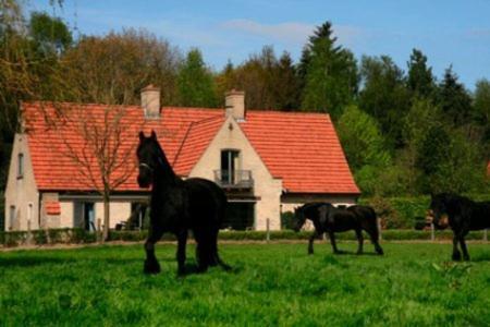 B&B Heerlijkhyd Hertsberge Ngoại thất bức ảnh